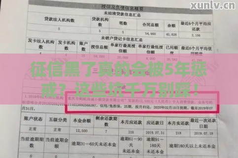 征信黑了真的会被5年惩戒？这些坑千万别踩！