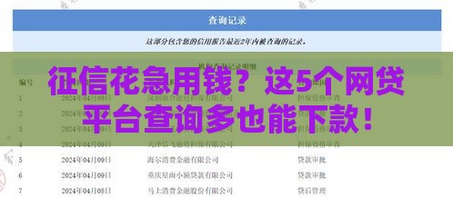 征信花急用钱？这5个网贷平台查询多也能下款！