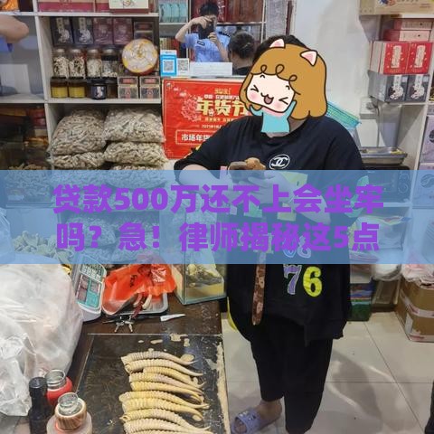 贷款500万还不上会坐牢吗？急！律师揭秘这5点必看