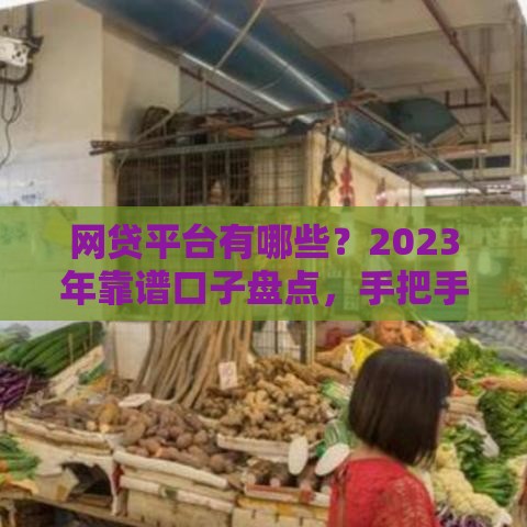 网贷平台有哪些？2023年靠谱口子盘点，手把手教你避坑！