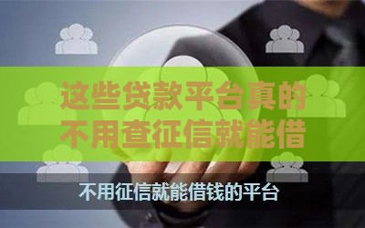 这些贷款平台真的不用查征信就能借到钱？