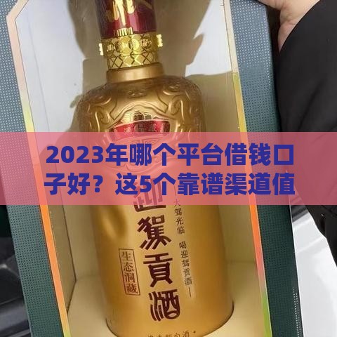 2023年哪个平台借钱口子好？这5个靠谱渠道值得一试！