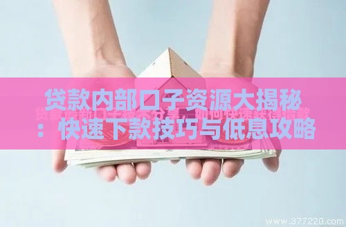 贷款内部口子资源大揭秘：快速下款技巧与低息攻略必看