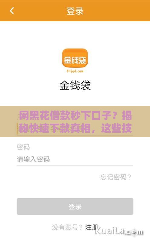 网黑花借款秒下口子？揭秘快速下款真相，这些技巧你要懂！