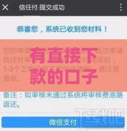 有直接下款的口子吗？3个靠谱渠道实测