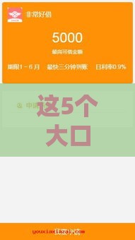 这5个大口子贷款好下款，低门槛也能过！