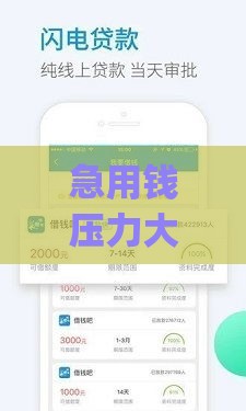 急用钱压力大？试试这些可以分24期还款的借款app！