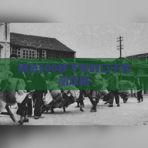 网贷500秒下款的口子实测攻略