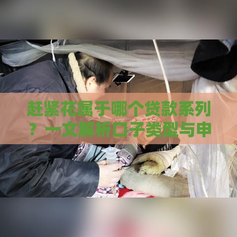 赶紧花属于哪个贷款系列？一文解析口子类型与申请技巧