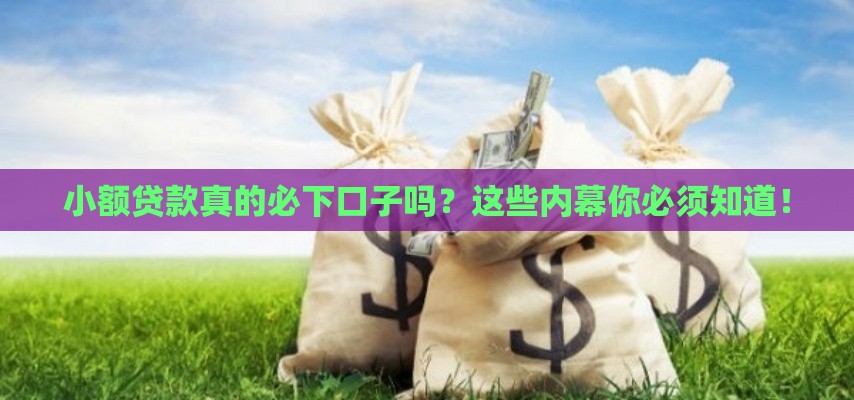 小额贷款真的必下口子吗？这些内幕你必须知道！