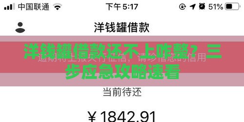 洋钱罐借款还不上咋整？三步应急攻略速看