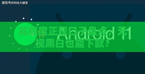 高额度正规口子盘点，无视黑白也能下款？