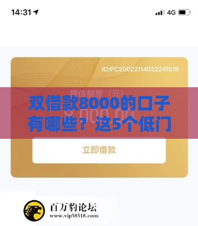 双借款8000的口子有哪些？这5个低门槛平台快速到账！