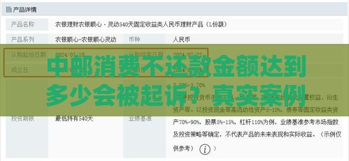 中邮消费不还款金额达到多少会被起诉？真实案例告诉你答案！