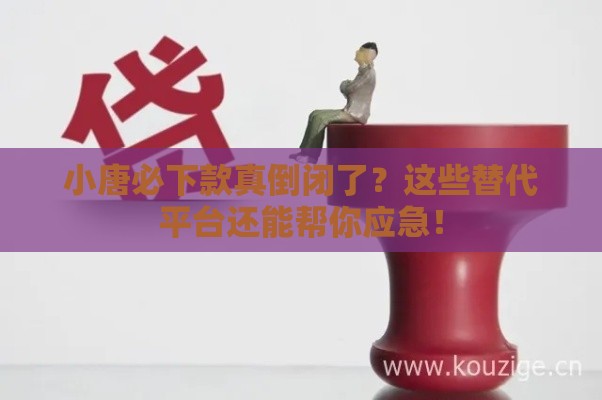 小唐必下款真倒闭了？这些替代平台还能帮你应急！