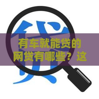 有车就能贷的网贷有哪些？这几个平台审核快、额度高！
