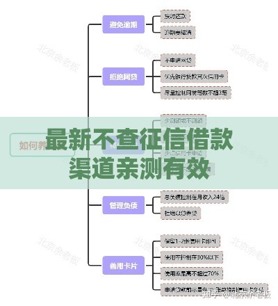最新不查征信借款渠道亲测有效