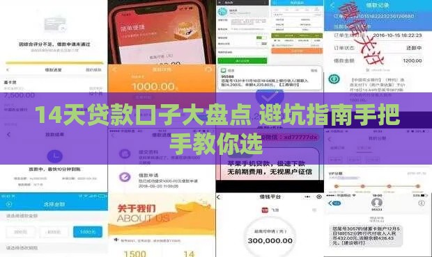14天贷款口子大盘点 避坑指南手把手教你选