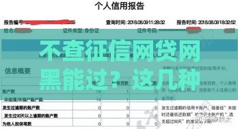 不查征信网贷网黑能过？这几种方式真的靠谱吗