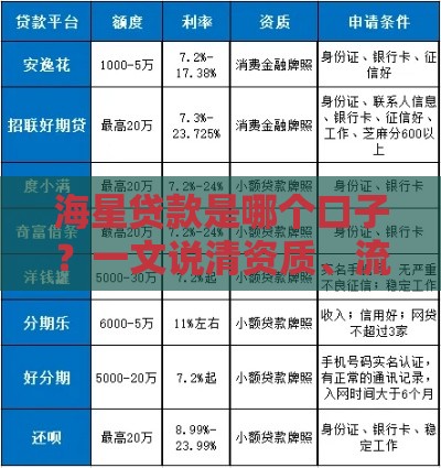海星贷款是哪个口子？一文说清资质、流程、注意事项