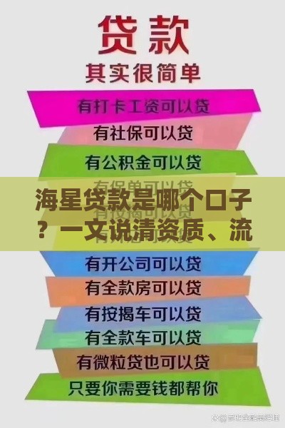海星贷款是哪个口子？一文说清资质、流程、注意事项