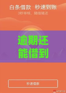 逾期还能借到钱？这几家网贷平台审核宽松试试看