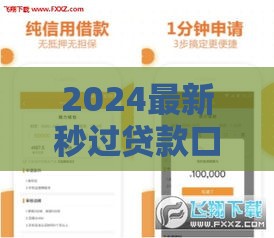 2024最新秒过贷款口子干货分享