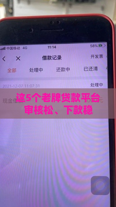 这5个老牌贷款平台审核松、下款稳