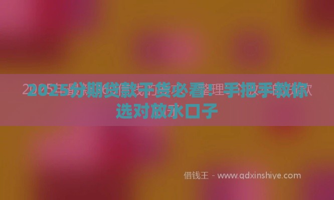 2025分期贷款干货必看！手把手教你选对放水口子