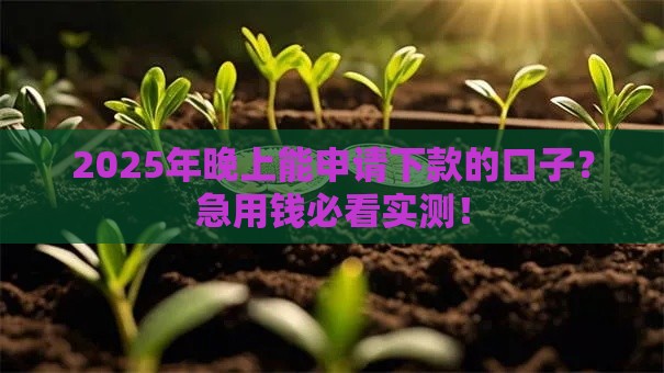 2025年晚上能申请下款的口子？急用钱必看实测！