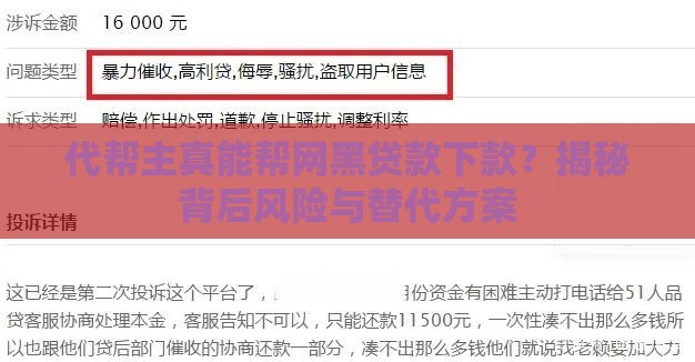 代帮主真能帮网黑贷款下款？揭秘背后风险与替代方案