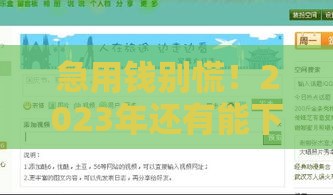 急用钱别慌！2023年还有能下款的平台吗？这5个渠道实测靠谱