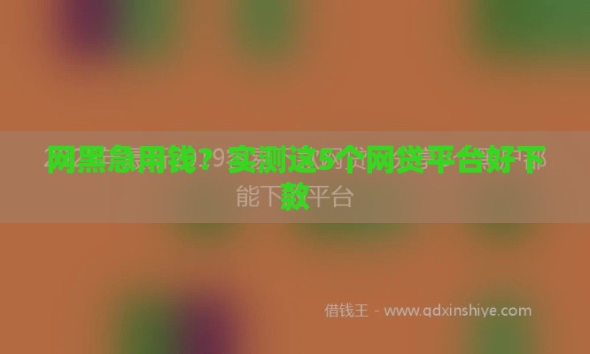 网黑急用钱？实测这5个网贷平台好下款