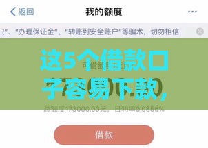 这5个借款口子容易下款，审批快门槛低