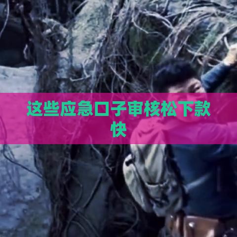 这些应急口子审核松下款快