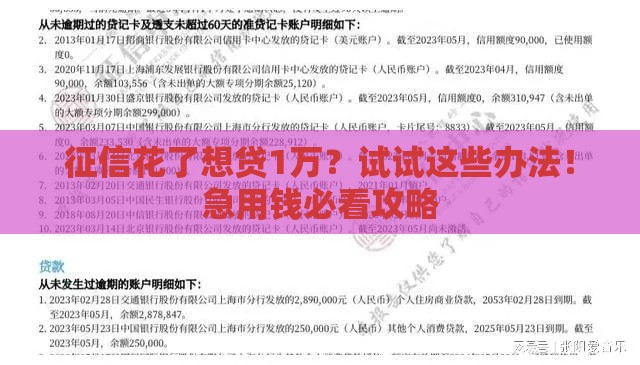 征信花了想贷1万？试试这些办法！急用钱必看攻略