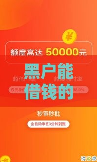 黑户能借钱的软件有哪些？急用钱必看这5个低门槛渠道！