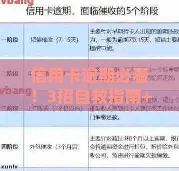 信用卡逾期必看！3招自救指南+避免催收话术（附真实案例）