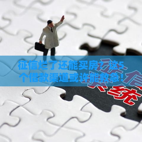 征信烂了还能买房？这5个借款渠道或许能救急！