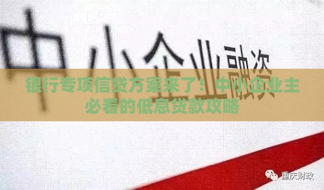 银行专项信贷方案来了！中小企业主必看的低息贷款攻略