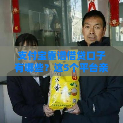 支付宝靠谱借贷口子有哪些？这5个平台亲测好用！