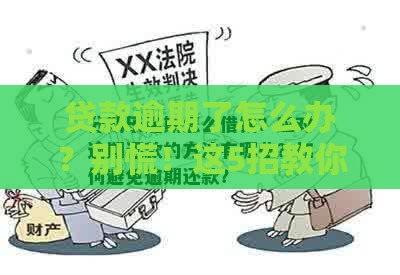 贷款逾期了怎么办？别慌！这5招教你轻松应对，避免信用受损