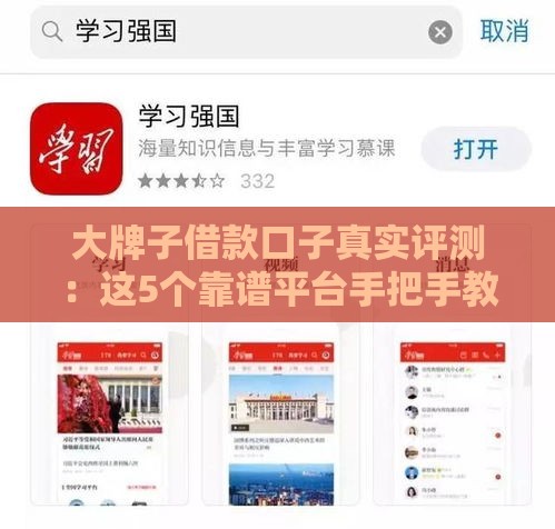 大牌子借款口子真实评测：这5个靠谱平台手把手教你避坑