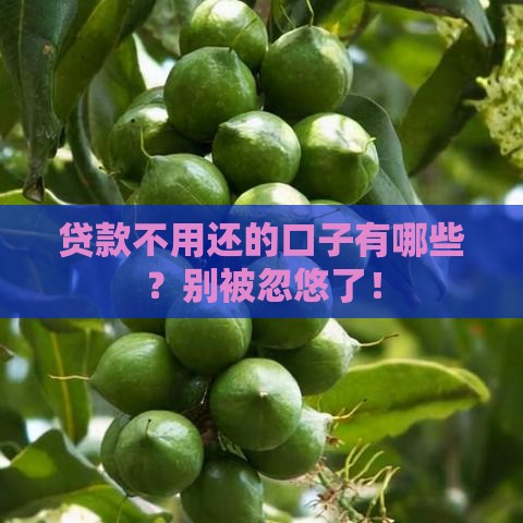 贷款不用还的口子有哪些？别被忽悠了！