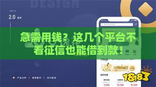 急需用钱？这几个平台不看征信也能借到款！