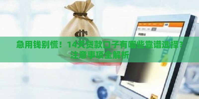 急用钱别慌！14天贷款口子有哪些靠谱选择？注意事项全解析