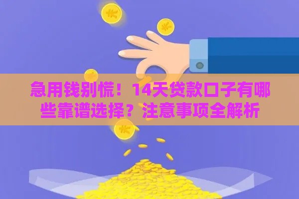 急用钱别慌！14天贷款口子有哪些靠谱选择？注意事项全解析