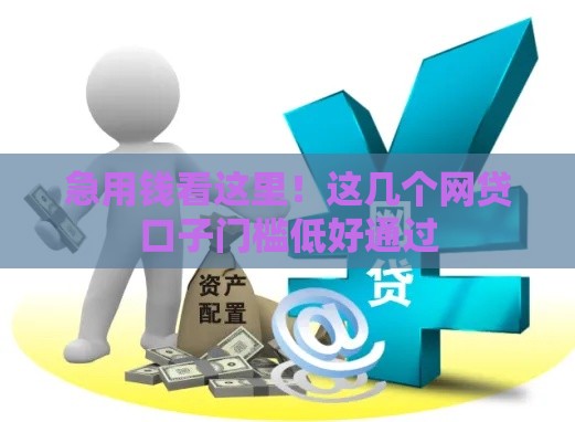 急用钱看这里！这几个网贷口子门槛低好通过