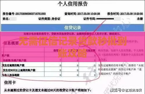 无需征信记录贷款秒批到账攻略