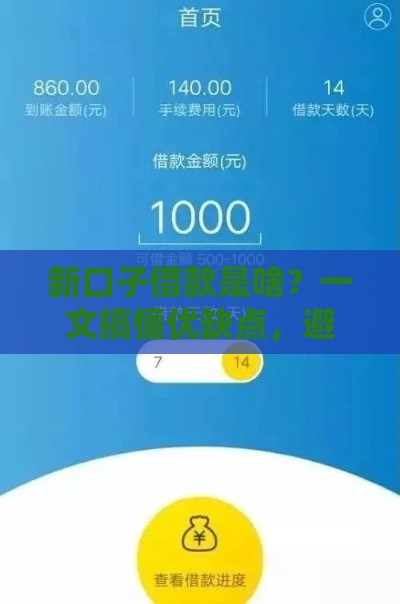 新口子借款是啥？一文搞懂优缺点，避坑必看！